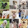 Pechera Arnés para Perros Pequeños, Arnés para Perro Ajustable Reflectante