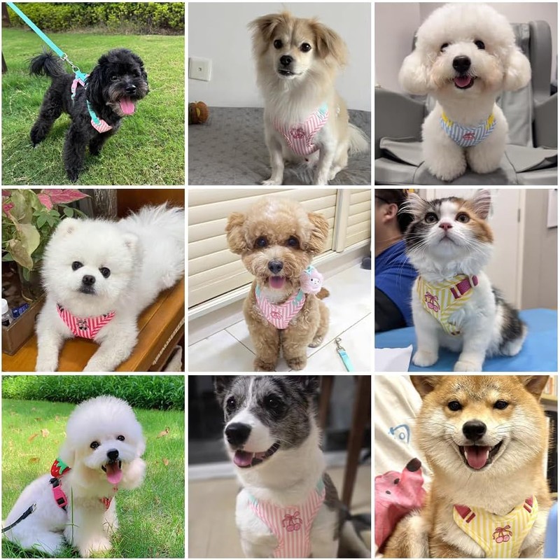 Pechera Arnés para Perros Pequeños, Arnés para Perro Ajustable Reflectante