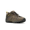 Merrell Chameleon 8 Stretch Men Canteen