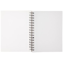 Canson Artist Series Mix Media Paper Pad for Wet or Dry Media, Dual Surface- Fine or Medium, Side Wire Bound, 138 Pound, 5.5 x 8.5 Inch, 30 Sheets