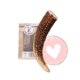 FOURLEGS® Natural Chew Snack for Dogs Made of 100% Deer Antlers - Minerals, Chew Toy, Chew Stick, Wild Flavour, Antlers, Bone, Deer, Chew Item - Size S Whole