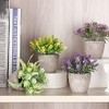 6 Piezas de Plantas Artificiales Mini Macetas,Fake Planta de Plástico,Flor
