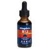 Suplemento Alimenticio Vitamina B12 Metilcobalamina Quida Sublingual Sabor Ndano 30ml
