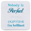 Brainbox Candy - Funny 'Nobody Is Perfect Coaster' - Small