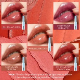 Labial Brillo De Prensa Lápiz Gloss Maquillaje                                                                                                        