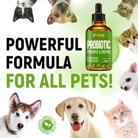 Probiotics for Dogs & Cats of All Ages | Natural Dietary Supplement Liquid Probiotics for Dogs | + Prebiotic Blend | Digestion Balance for Pets | Harmonious Food Absorption | Herbal Flavor | 2 Oz