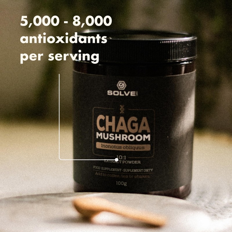 SOLVE Labs® ● Premium Siberian Chaga Extract Powder ● 10%