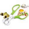 AKOAK 1 Count Quail Egg Scissors, Stainless Steel Pigeon Egg Scissors, Home Kitchen Egg Opener, Ideal Restaurant Bird Egg Shucking Tool (Green)