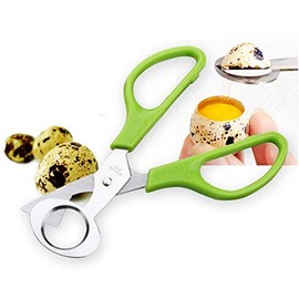 AKOAK 1 Count Quail Egg Scissors, Stainless Steel Pigeon Egg Scissors, Home Kitchen Egg Opener, Ideal Restaurant Bird Egg Shucking Tool (Green)