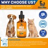 Milk Thistle for Dogs and Puppies for Dog Digestive Support