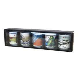 Japanese Souvenir Tokaido Guinomi (New), Set of 5