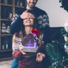 XuanMingyuan Crystal Heart Shaped Rose Deer Creative Home Decoration for