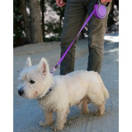 Taglory No-Tangle Retractable Dog Lead 5 m, Heavy Duty Dogs Extendable Leads Nylon Tape, Suitable for Small and Medium Dogs Up to 20 kg, Purple