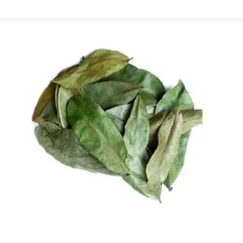 Hoja de Guanabana - 60 gr de té 100% Natural, Tisana Organica (60gr por Bolsa)