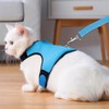 Rabbit Harness and Leash Set, Bunny Escape Proof Clothes, Soft