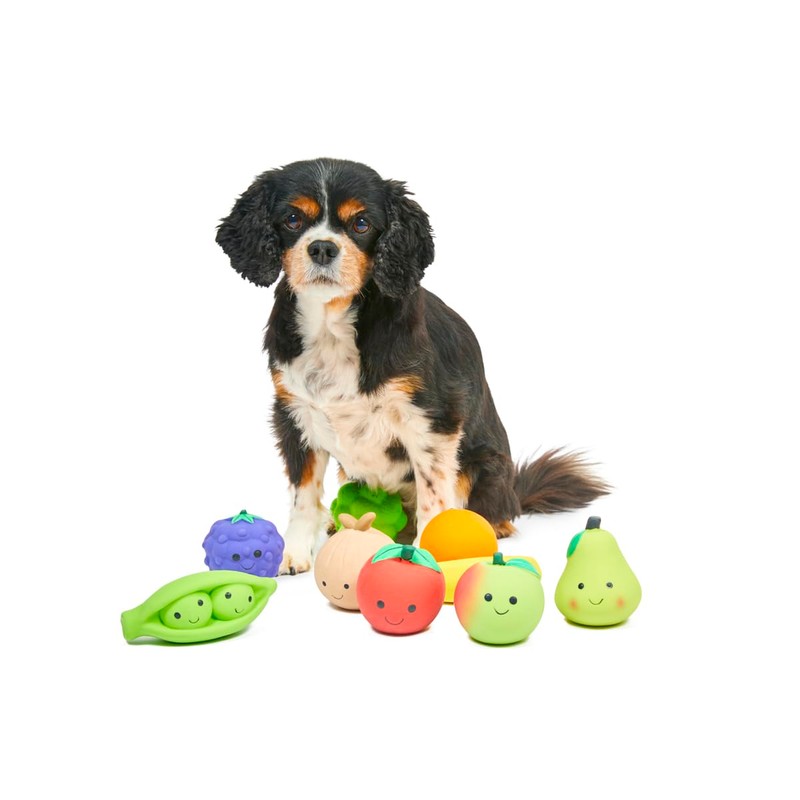 Petface Latex Blackberry Soft Chew Dog Toy, Small