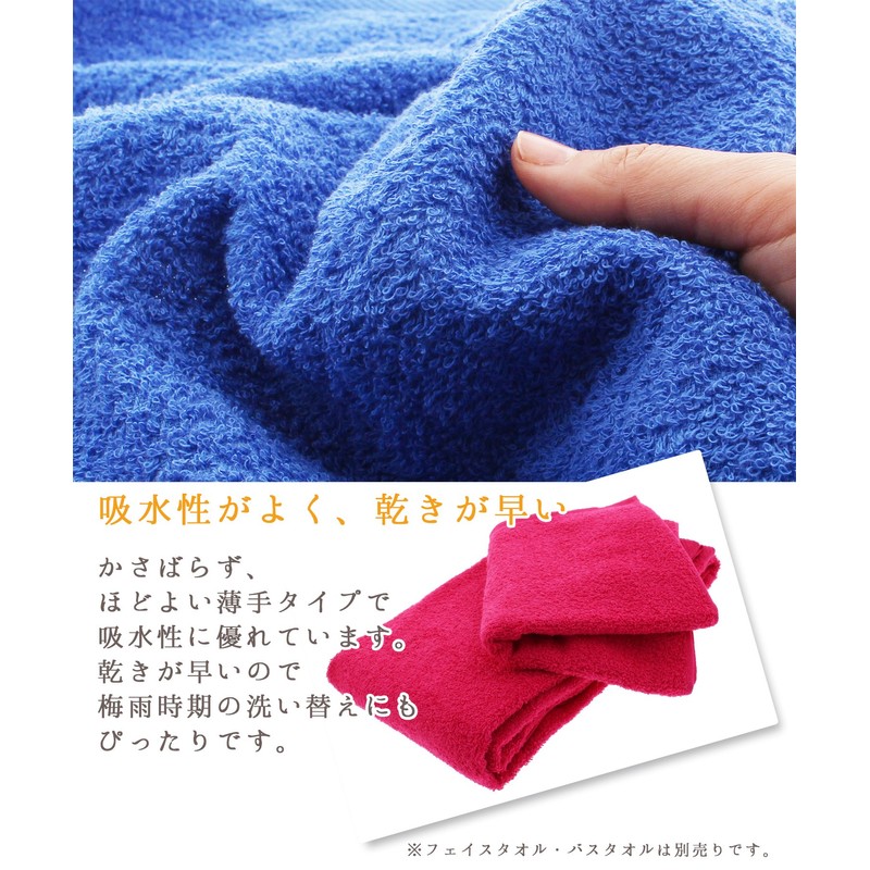 Hayashi BG210212 Senshu Bath Towel, Arc Color, Made in Japan,
