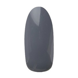 Prigel Gel Nail Color EX Elephant 822