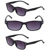 3 Pair of Classic "The Intellect" Full Reading Sunglasses -
