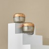 Skin79 골든 스네일 인텐시브 크림 50g Golden Snail Intensive Cream