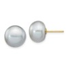 14K Yellow Gold 10-11mm Grey Button FW Cultured Pearl Stud