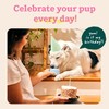 WOOF Party Pupsicle - Long-Lasting Interactive Dog Toys for Boredom