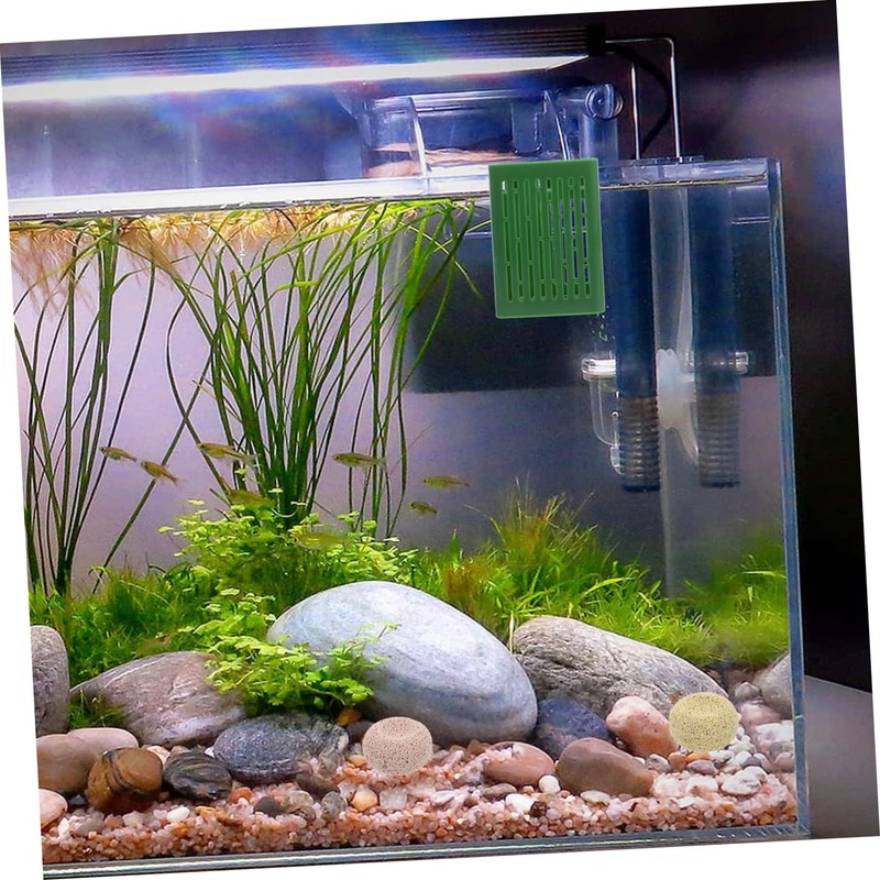 BESPORTBLE 2pcs Wall-Mounted Hydroponic Plant Baskets for Fish Tank Aquariums