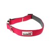 Doodlebone Padded Collar, Fuchsia, 3-6