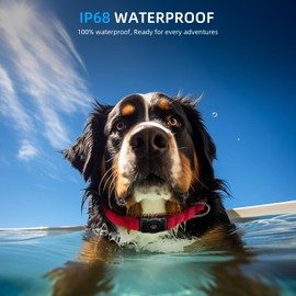 AirTag Dog Collar, IP68 Waterproof Air Tag Dog Collar Holder, Reflective, Ultra-Durable, Comfortable Padded, Heavy Duty Dog Collars for Small Medium Large Dogs (S (10.6"-13.6"), Red)