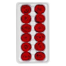 CALLARON 12Piezas Flores Preservadas Rosa Roja, Ramo Artificial para Boda, Decoración Floral Caja Regalo, Arreglos DIY para San Valentín, Cumpleaños y Eventos Especiales