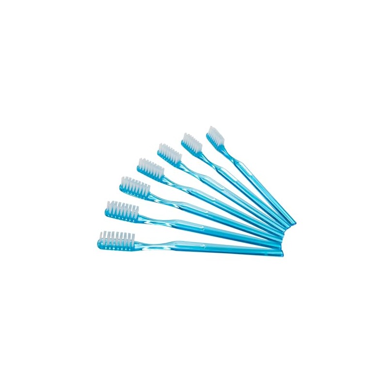 Disposable Toothbrushes with Toothpaste, Pack of 100, Soft Nylon Bristles