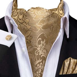 Hi-Tie Ascot Lapel Pin Set Mens Cravat Ties for men Wedding Scarf Tie Party Business Formal Tuxedo,Gold Khaki Floral