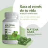 MATCHA PREMIUM GABA FUJIRO ORIGEN JAPONÉS, NATURAL EFECTO CALMANTE, ANTIOXIDANTES