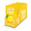 URBAN FRUIT Pineapple - Gently Baked Fruit - No Added