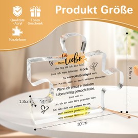 Christmas Gifts for Partner Man Valentine's Day Partner Gifts Birthday Gift I Love You Gifts Anniversary Couple Gifts Acrylic Table Decoration Paperweight