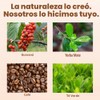 Bebida con cafeína Power Me! VIVRI – Energía natural en