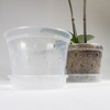 Greenology 16cm / 6" Pack of 5 Orchid Flower Pots