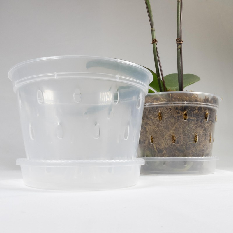 Greenology 16cm / 6" Pack of 5 Orchid Flower Pots