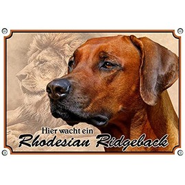 Petsigns Rhodesian Ridgeback Dog Sign, Rustproof UV Resistant Metal Sign, DIN A4