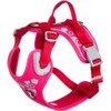 Hurtta Weekend Warrior Dog Harness, Ruby, 39-47 in