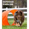 Outward Hound Zip & Zoom Outdoor Dog Agility Training Kit
