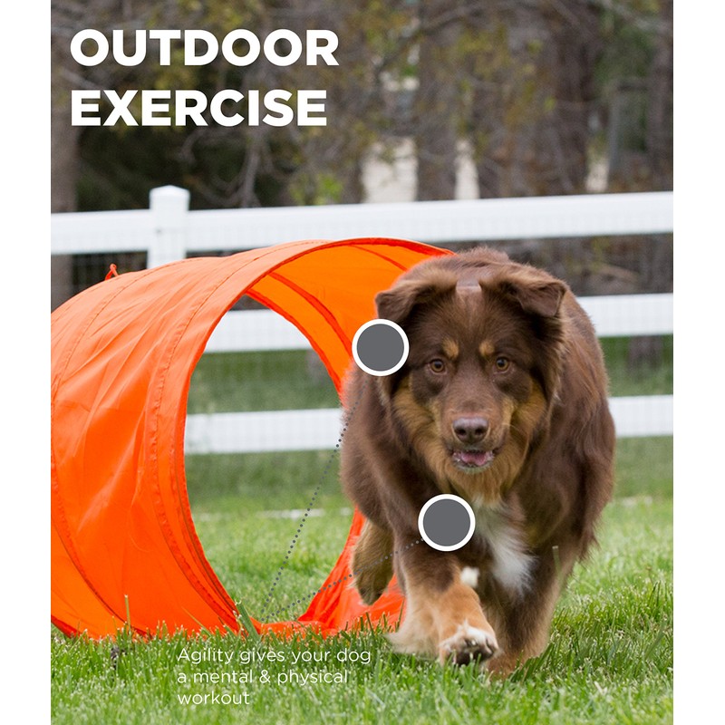Outward Hound Zip & Zoom Outdoor Dog Agility Training Kit