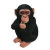 Vivid Arts XRL-CHM2-F Baby Chimpanzee Resin Ornament