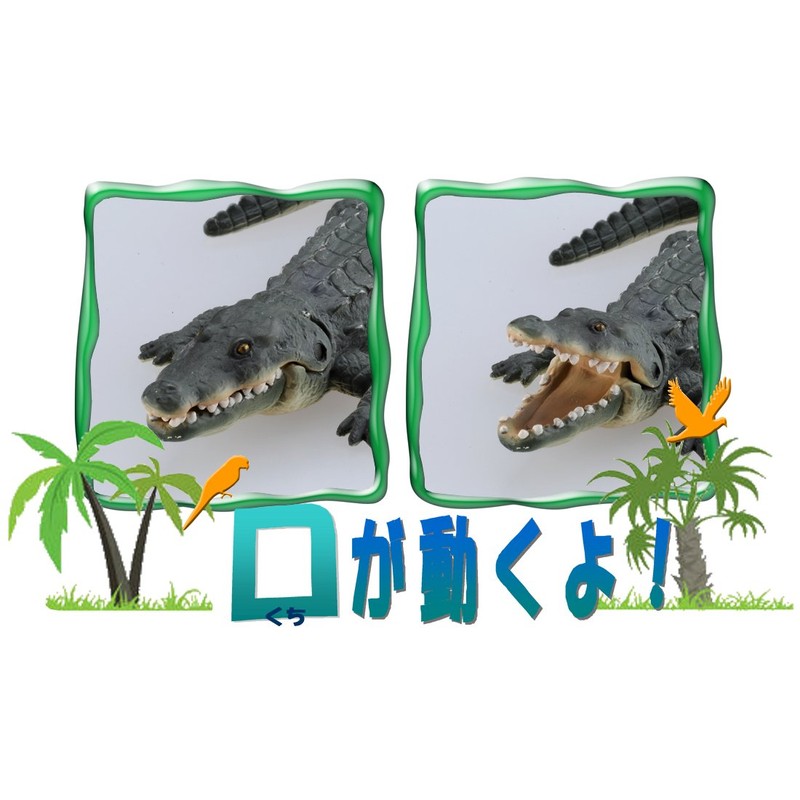 Ania AS-08 Nile crocodile