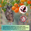 Owl to Keep Birds Way, 4 Pieces Reflective Bird Deterrent