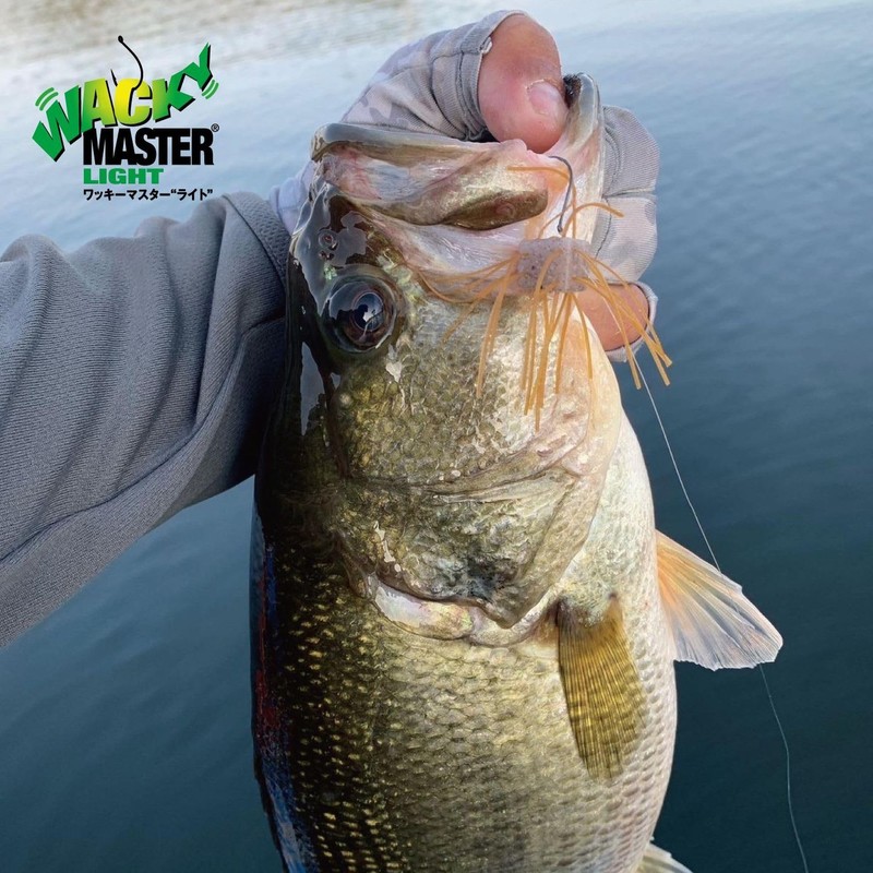 Gran. Nogales Wacky Master Light. #1/0. 12pcs