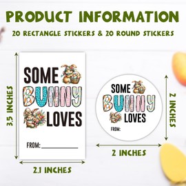 Easter Gift Stickers, Happy Easter Bunny Stickers, 20 Round and Rectangle Labels for Kids Adults, Easters Decorations Party Favor for Gifts Wrapping, Candy Bags, Envelopes-C06