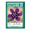 Showa Notebook Japonica JL-8 Learning Book, B5 Size, 10 Grid