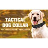 Tactical Dog Collar - Dog Collar Medium - Heavy Duty