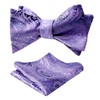 Alizeal Mens 2pcs Gradient Color Classic Paisley Self-tied Bow Tie